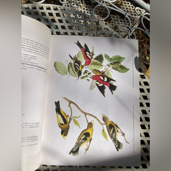 Royalty Free! 120 Audubon bird prints book & CD in great condition! - Picture 6 of 8